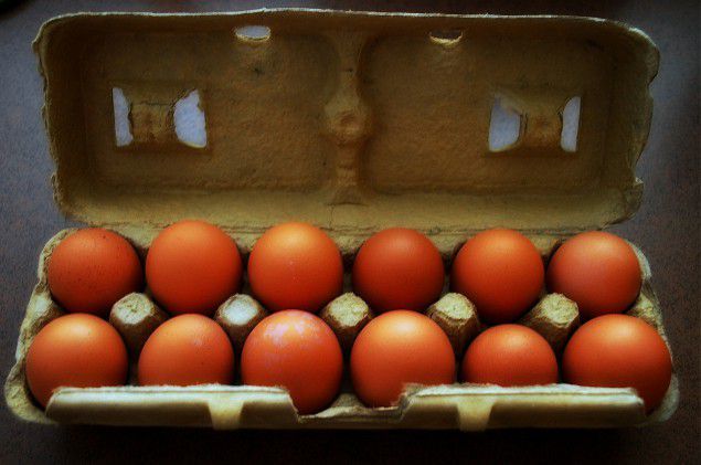 8 Things Every Person Should Do Before 8 A.M.